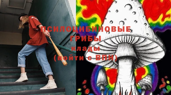 гашик Слюдянка